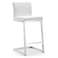 Tov Furniture Tov Furniture Parma Steel Counter Stool TOV-K3605